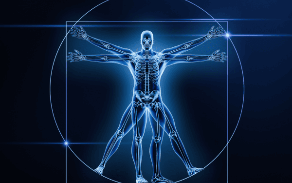 blue x-ray of skeleton