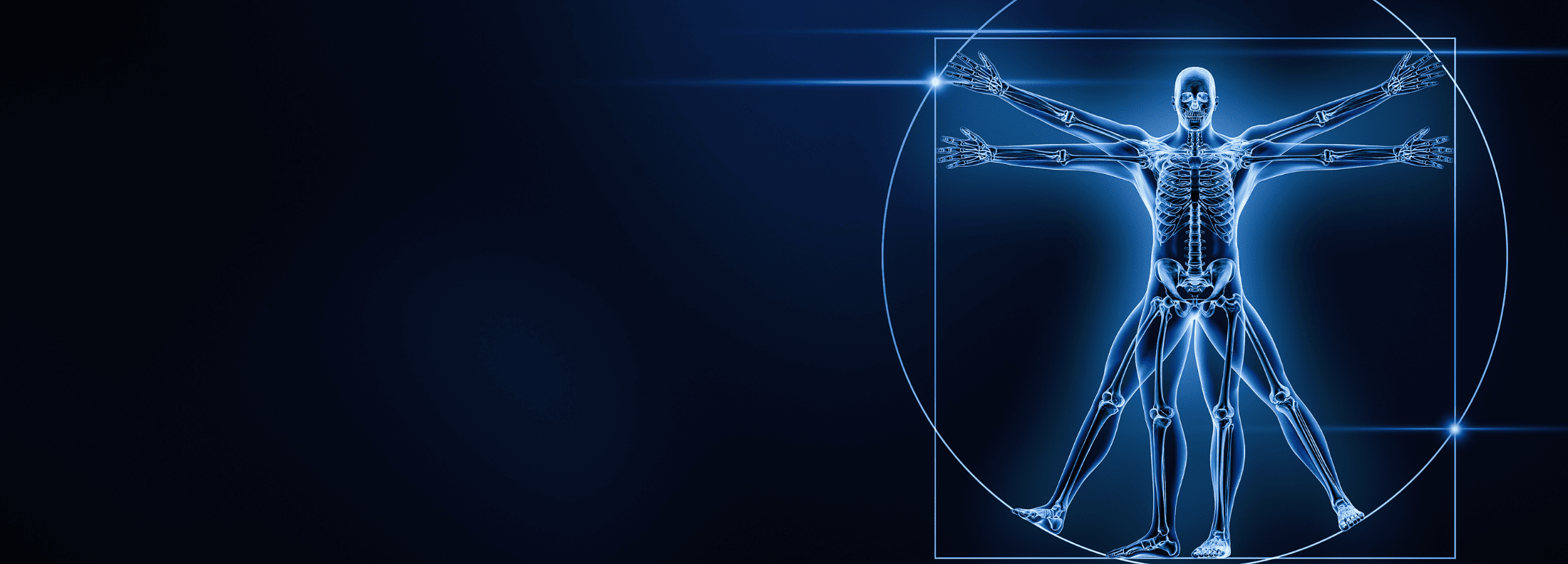 skeleton xray